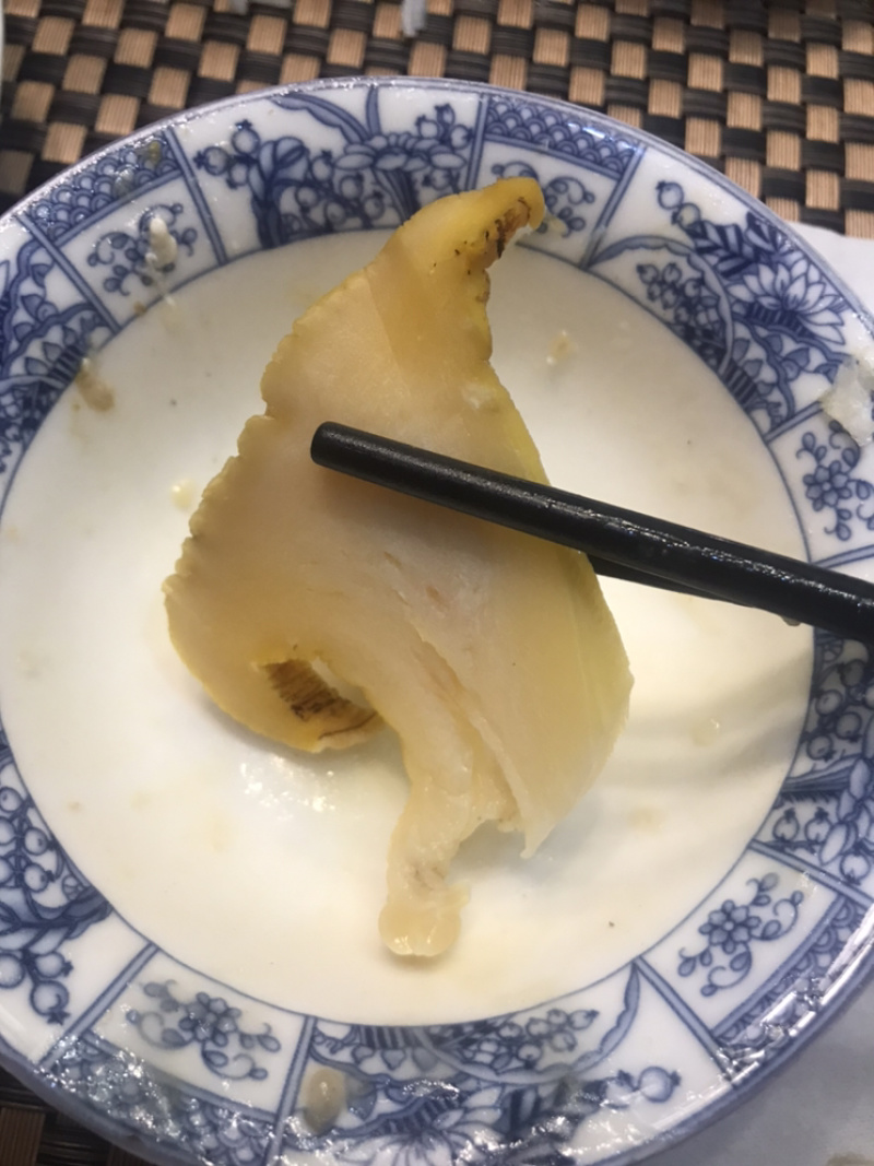 灵芝螺鲍螺响螺头香螺