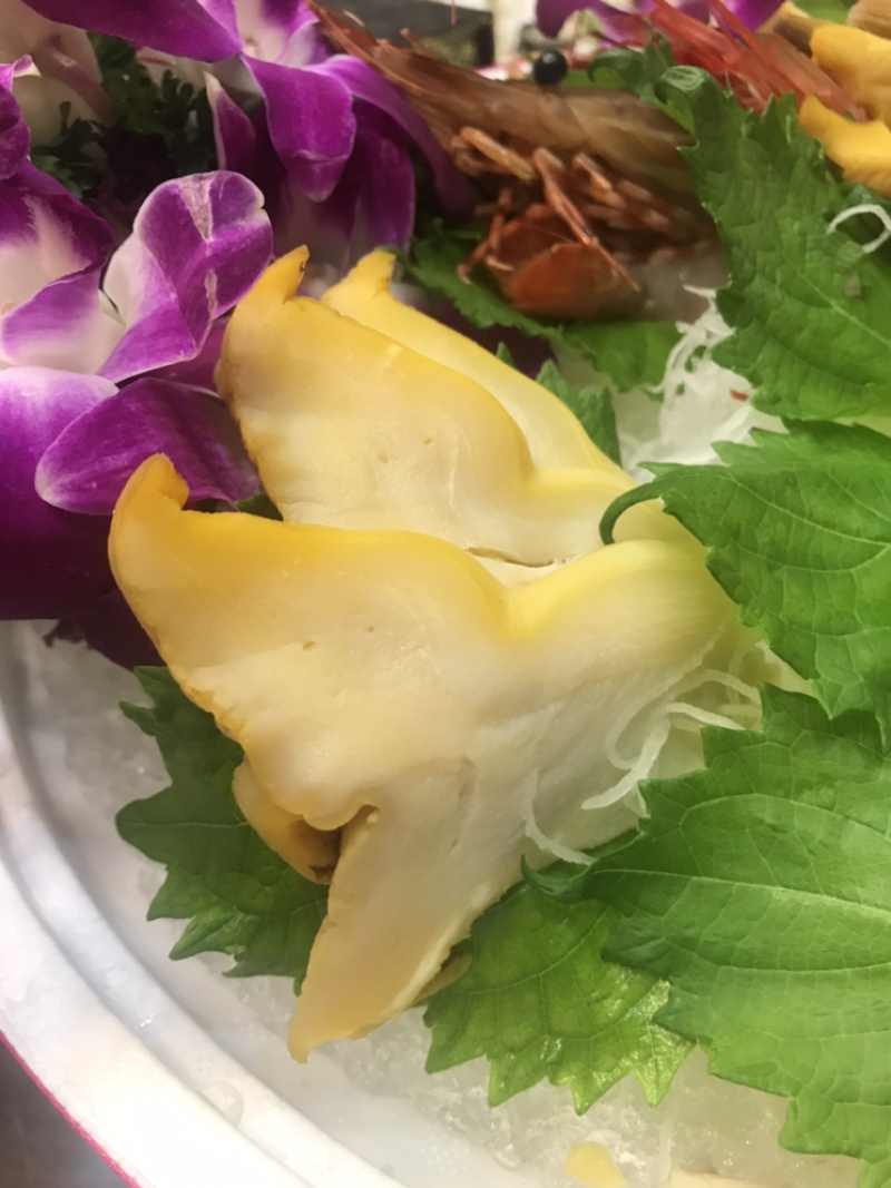 灵芝螺鲍螺响螺头香螺