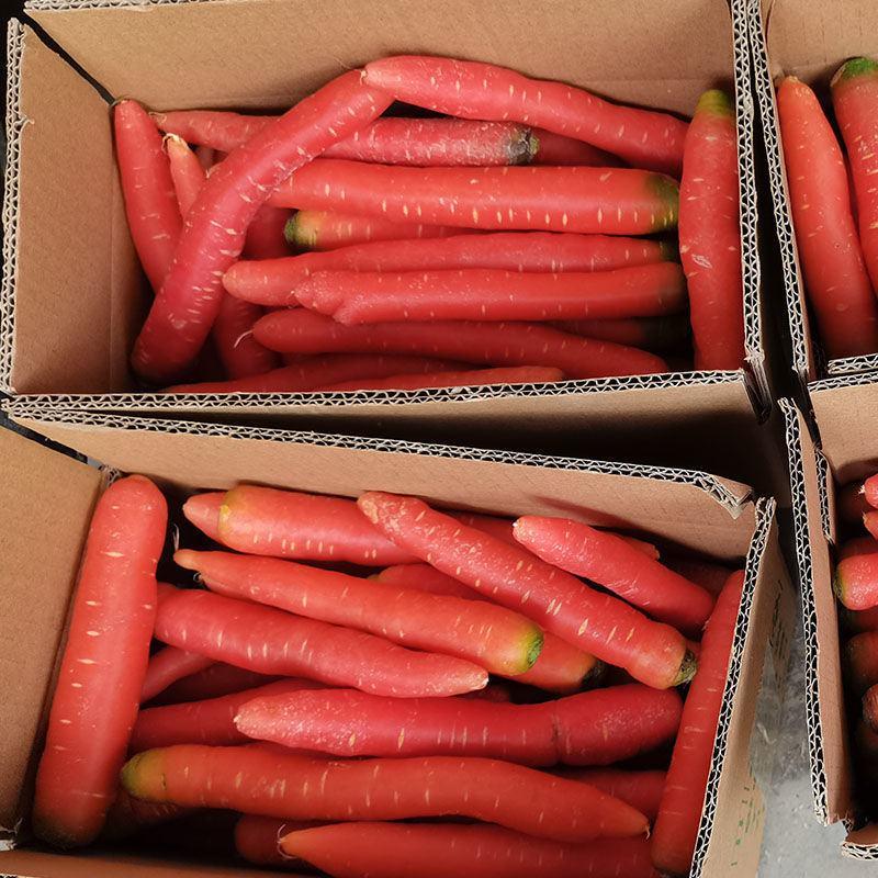 【红萝卜】大荔优质高次红萝卜五斤袋装保质保量代发全国