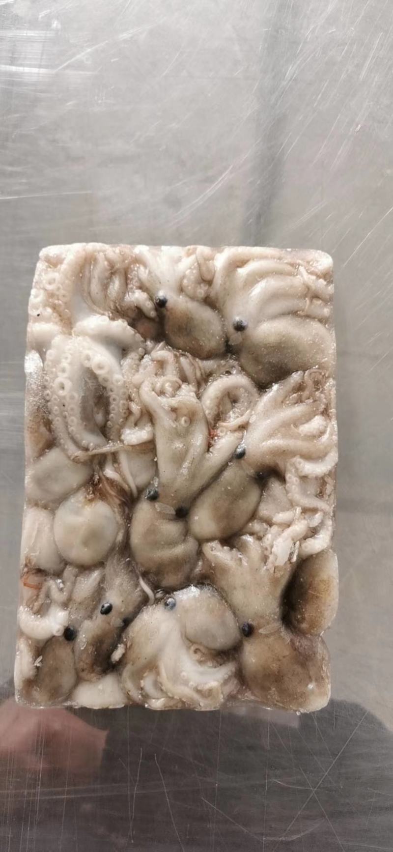 鲜活冷冻的迷你小八爪，一小板一斤左右