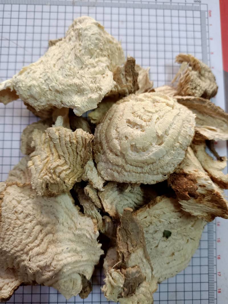 中药材商陆正品见肿消章柳根牛大黄山萝卜