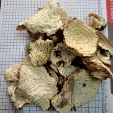 中药材商陆正品见肿消章柳根牛大黄山萝卜