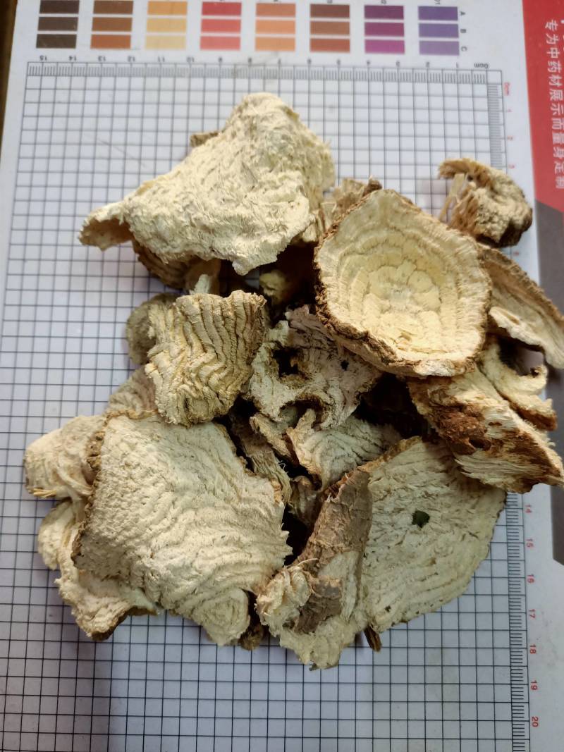 中药材商陆正品见肿消章柳根牛大黄山萝卜