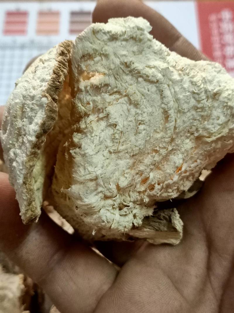 中药材商陆正品见肿消章柳根牛大黄山萝卜