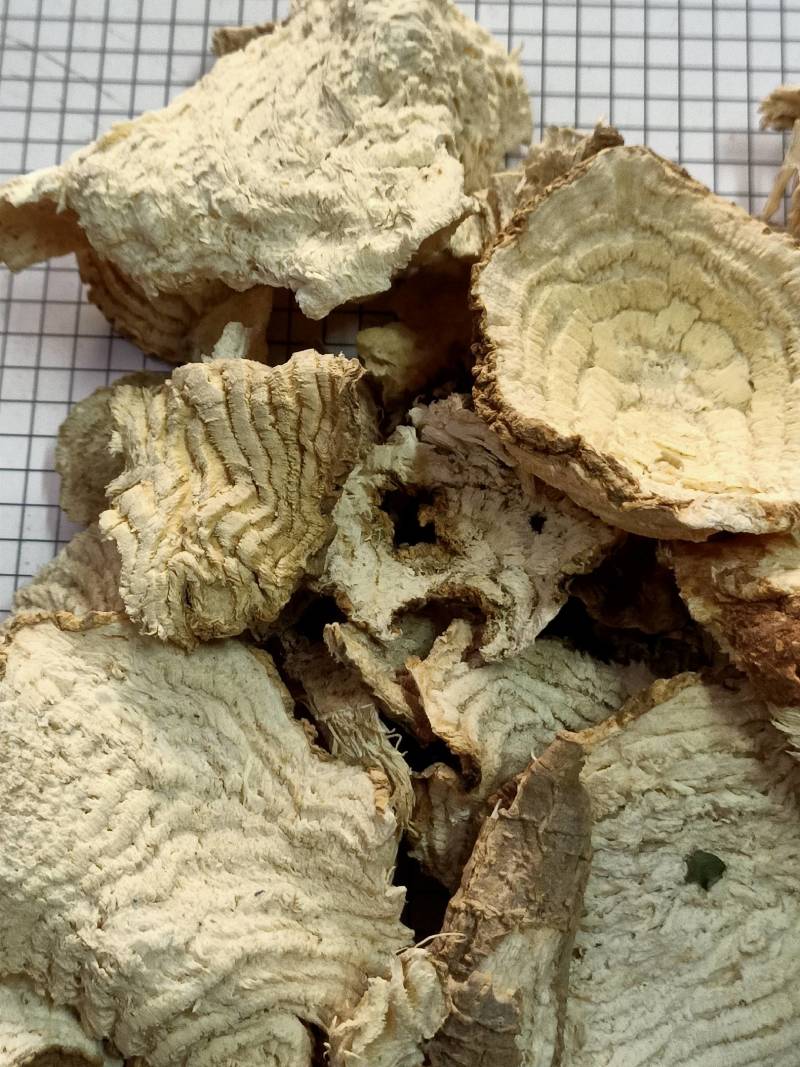 中药材商陆正品见肿消章柳根牛大黄山萝卜