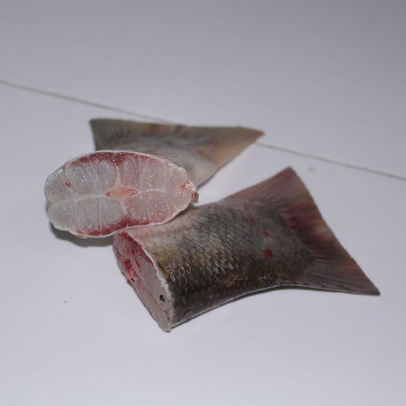 白鲢鱼尾当天现杀新鲜冷冻白鲢鱼尾