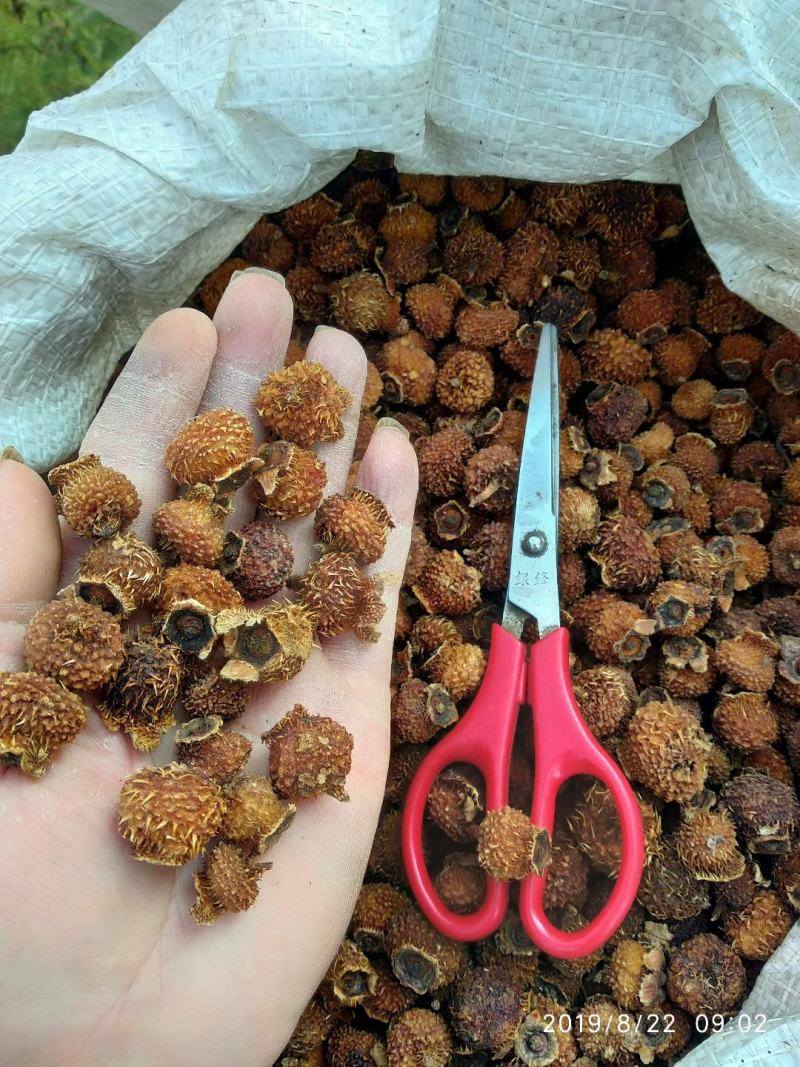 贵州铜仁无硫刺梨干果色黄去刺干刺梨泡水泡茶泡酒喝气香味甜