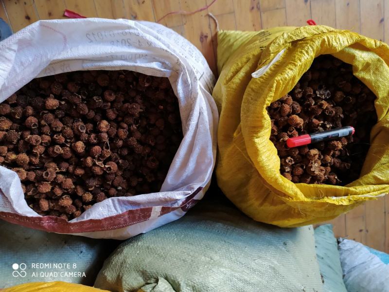 贵州铜仁无硫刺梨干果色黄去刺干刺梨泡水泡茶泡酒喝气香味甜