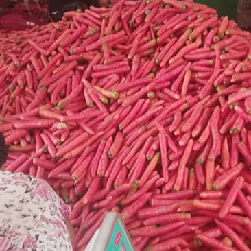 陕西渭南大荔县水洗高次红萝卜/精品水果萝卜量大从优