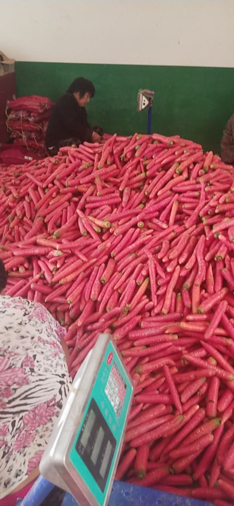 陕西渭南大荔县水洗高次红萝卜/精品水果萝卜量大从优