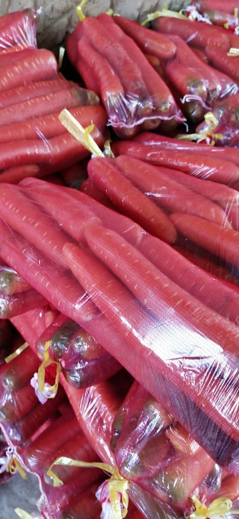 陕西渭南大荔县水洗高次红萝卜/精品水果萝卜量大从优