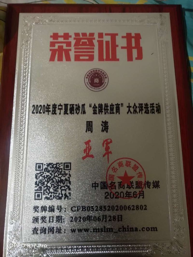 宁夏中卫香山硒砂瓜，石头缝里西瓜，甜如蜜，基地直供
