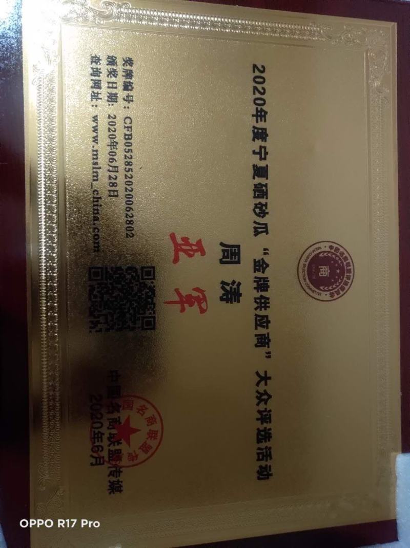 宁夏中卫香山硒砂瓜，石头缝里西瓜，甜如蜜，基地直供