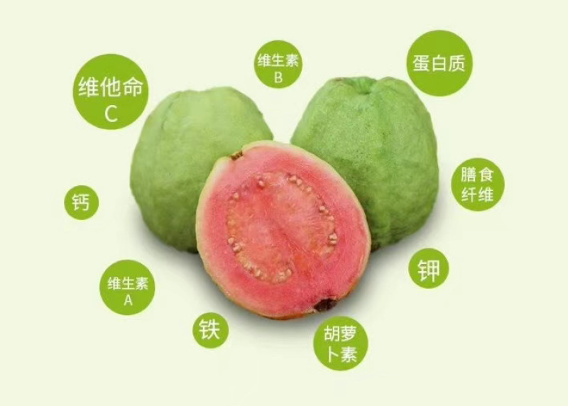 福建漳州台湾红心芭乐西瓜红现摘现发五斤包邮一件代发！