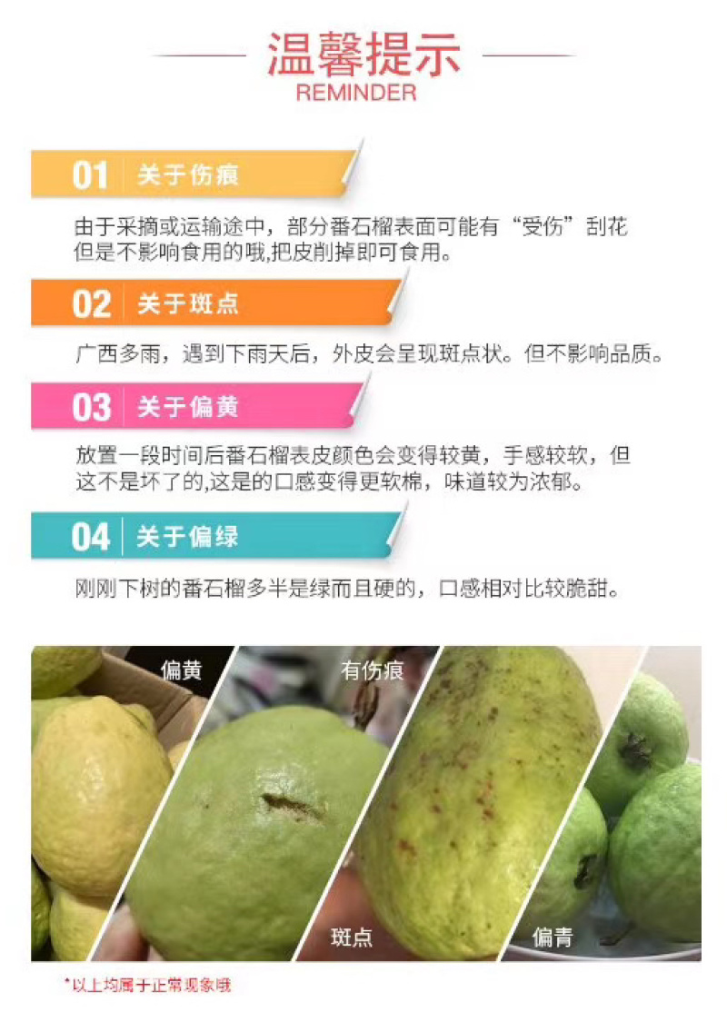 福建漳州台湾红心芭乐西瓜红现摘现发五斤包邮一件代发！