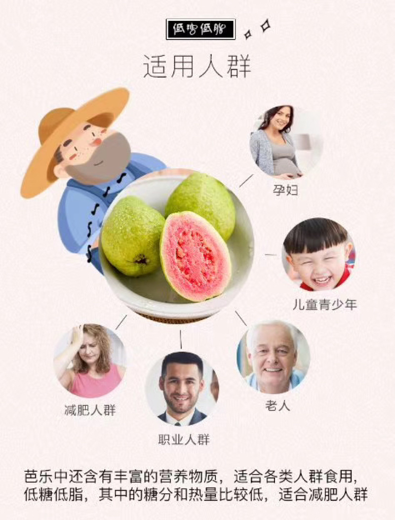 福建漳州台湾红心芭乐西瓜红现摘现发五斤包邮一件代发！
