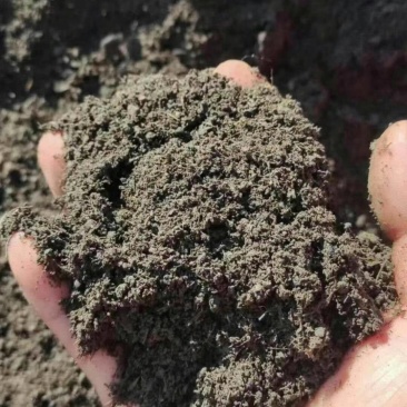 高温发酵羊粪有机肥改良土壤肥料发酵羊粪批发果蔬有机肥高标