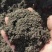 高温发酵羊粪有机肥改良土壤肥料发酵羊粪批发果蔬有机肥高标