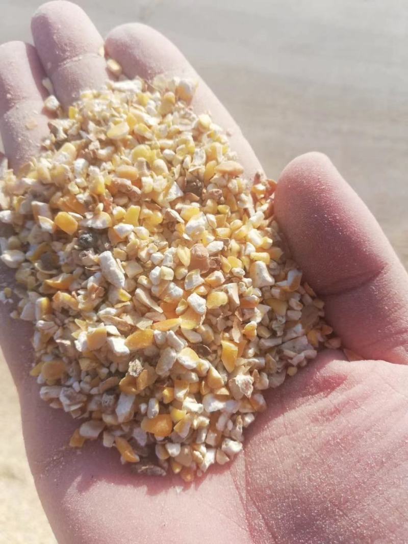 厂家大量销售优质碎玉米，加工精致，货源充足，价格实惠