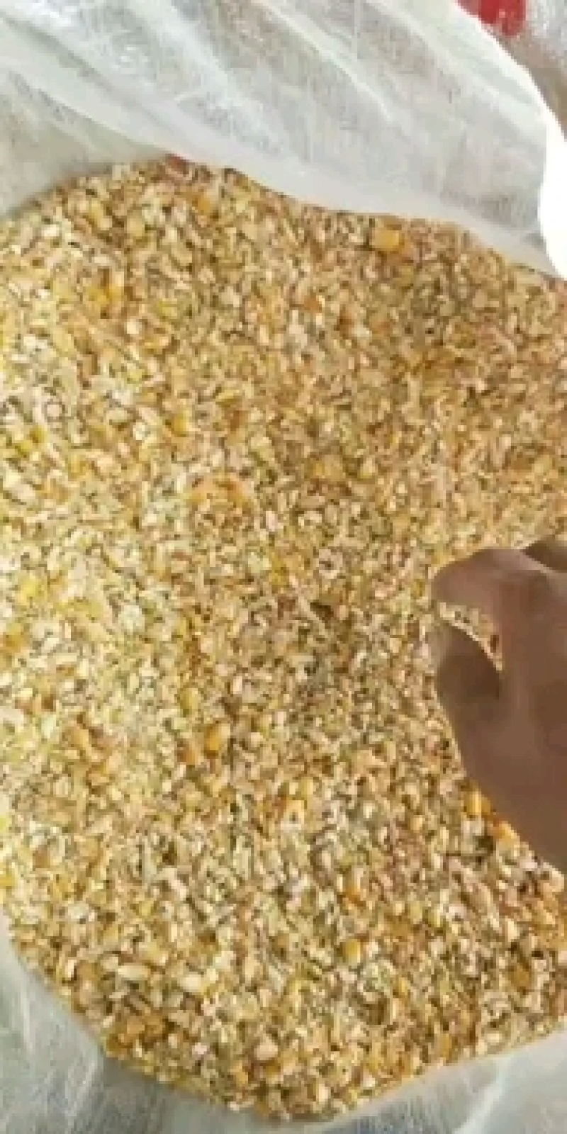 厂家大量销售优质碎玉米，加工精致，货源充足，价格实惠
