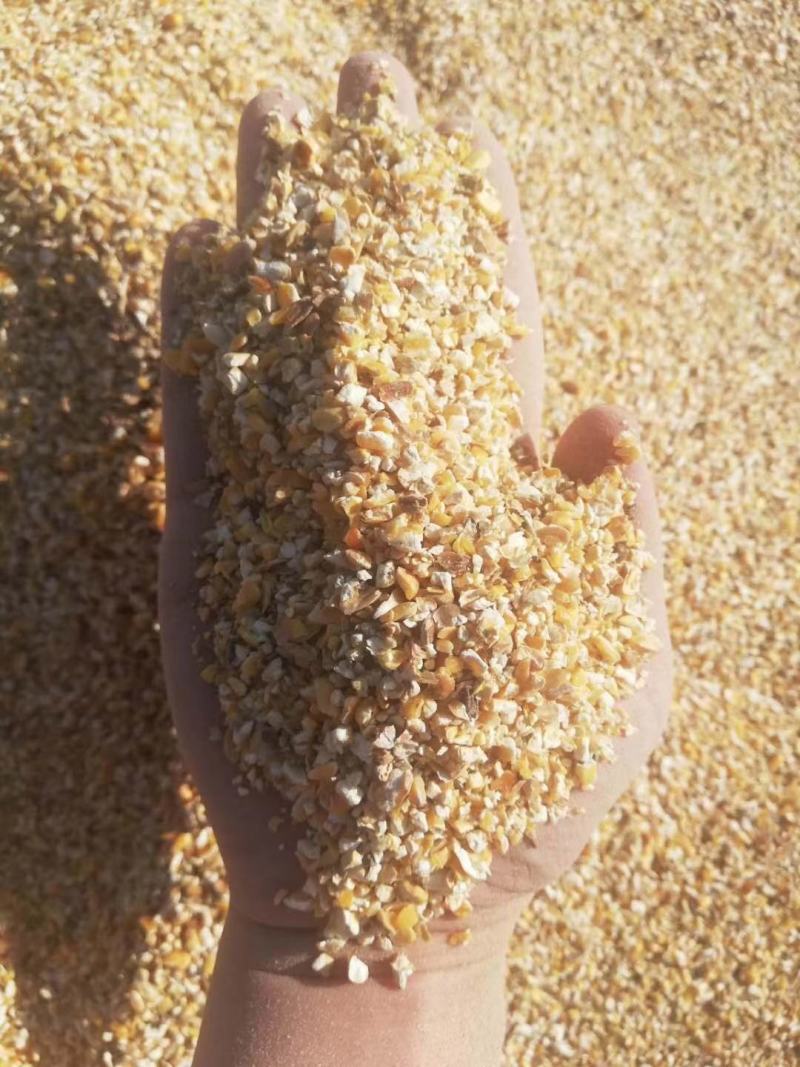 厂家大量销售优质碎玉米，加工精致，货源充足，价格实惠