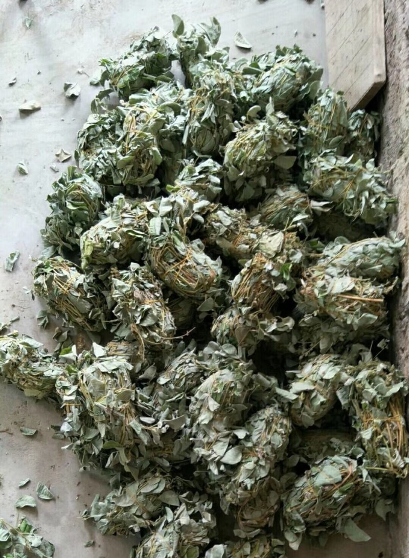 金钱草，新货大叶金钱草，广金钱草，金钱草，各种规格金钱草