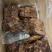 酱牛腱酱牛肉真空包装好货好质量