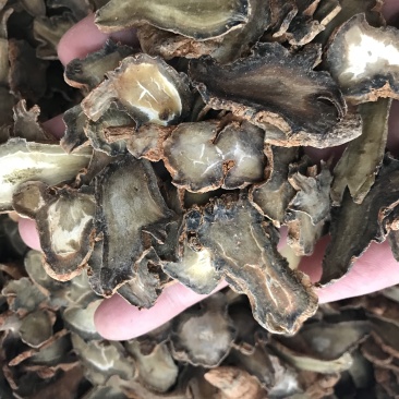 云南文山新鲜三七切片干三七片颜色好看500克顺丰包邮