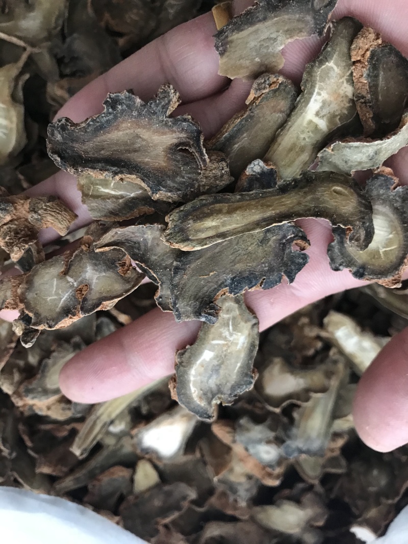 云南文山新鲜三七切片干三七片颜色好看500克顺丰包邮