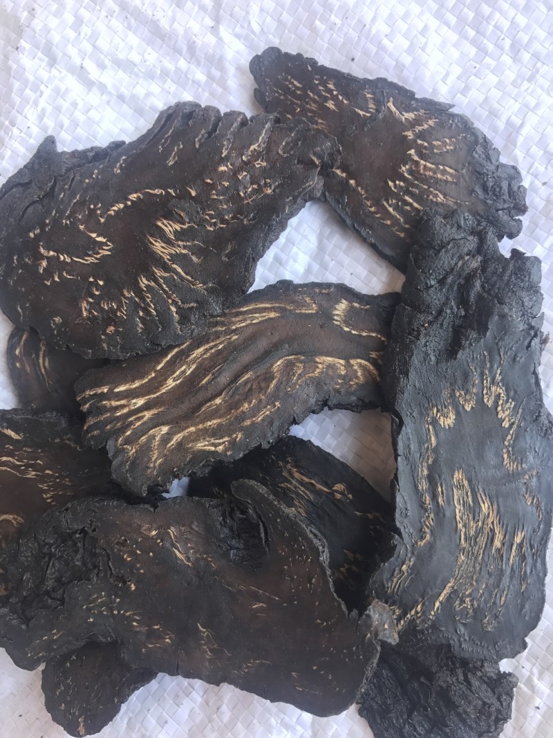 【特惠】内蒙阿拉善肉苁蓉切片量大从优欢迎下单