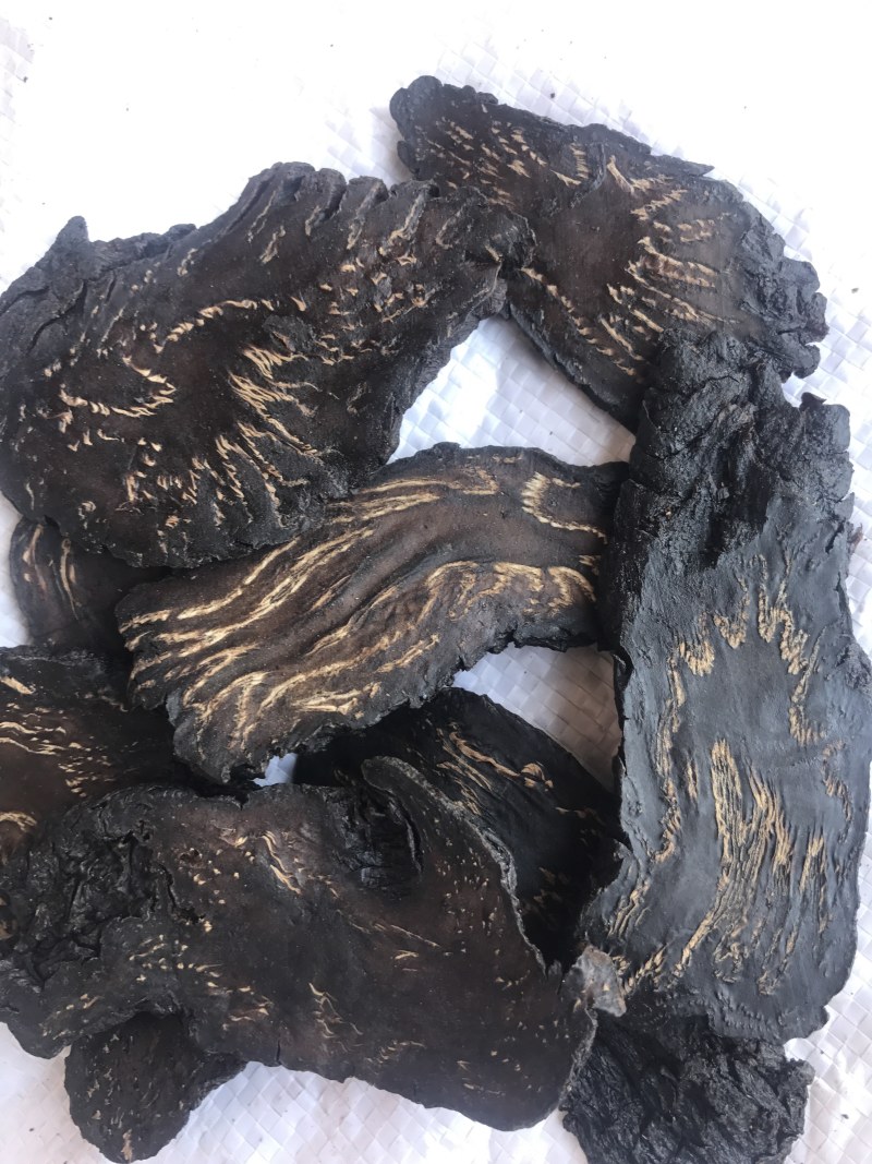 【特惠】内蒙阿拉善肉苁蓉切片量大从优欢迎下单