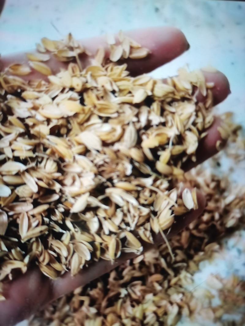 大量现货销售优质稻壳，厂里货源充足，加工精细