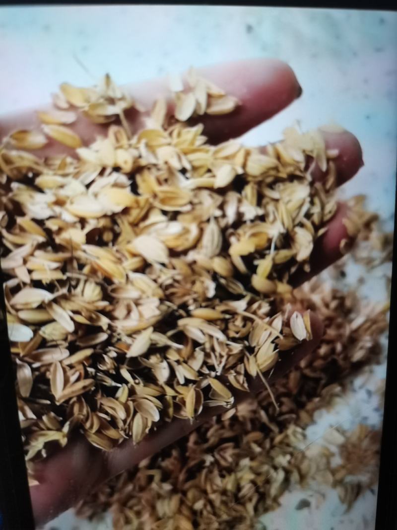 大量现货销售优质稻壳，厂里货源充足，加工精细