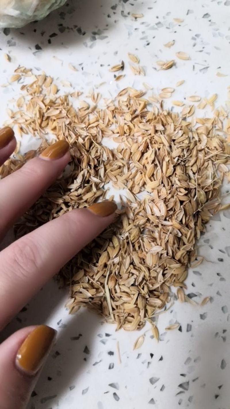 大量现货销售优质稻壳，货源新鲜，加工精致，价格低廉实惠