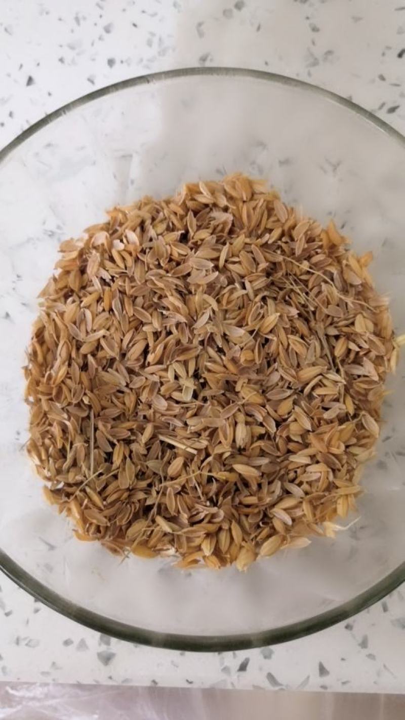 大量现货销售优质稻壳，货源新鲜，加工精致，价格低廉实惠