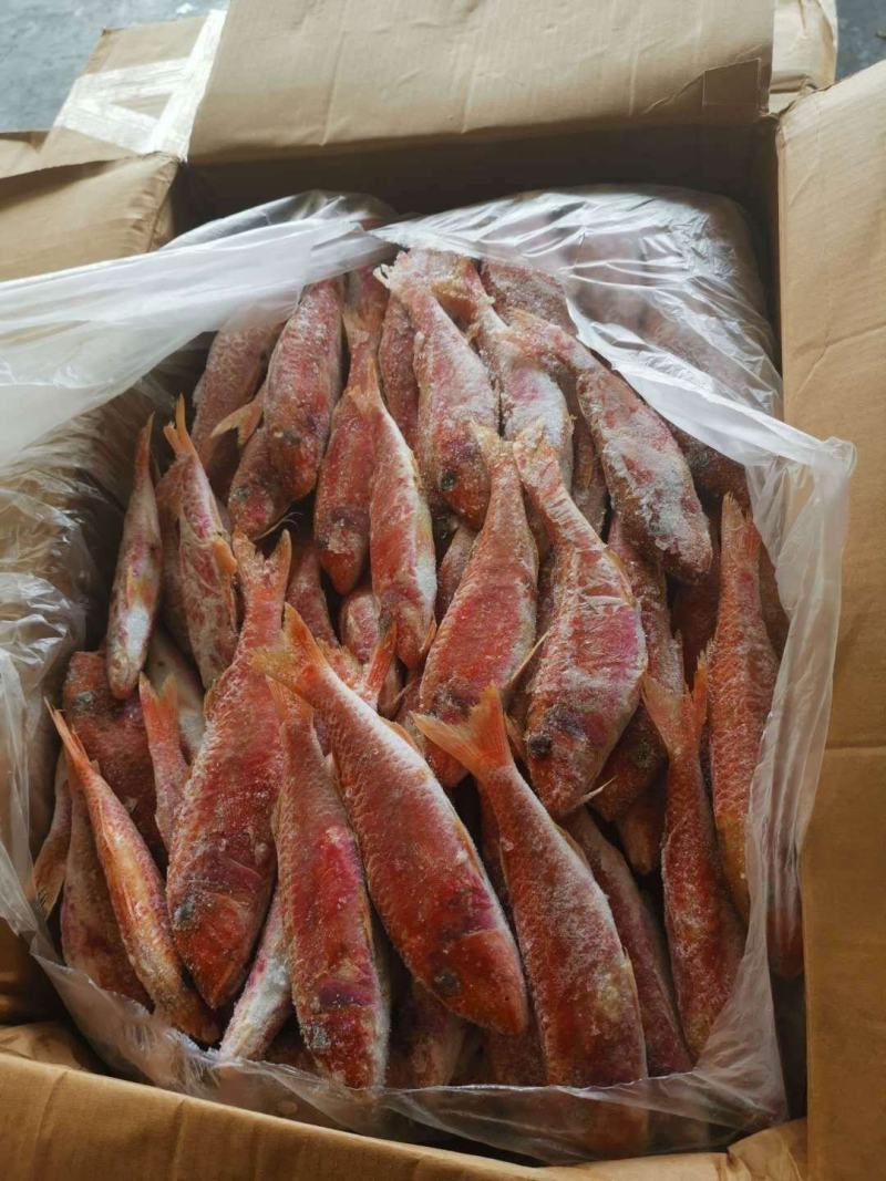 红娘鱼（鲱鲤），常年现货，漂亮！发货量请先沟通