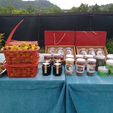 刺梨干果，刺梨果脯，刺梨果茶