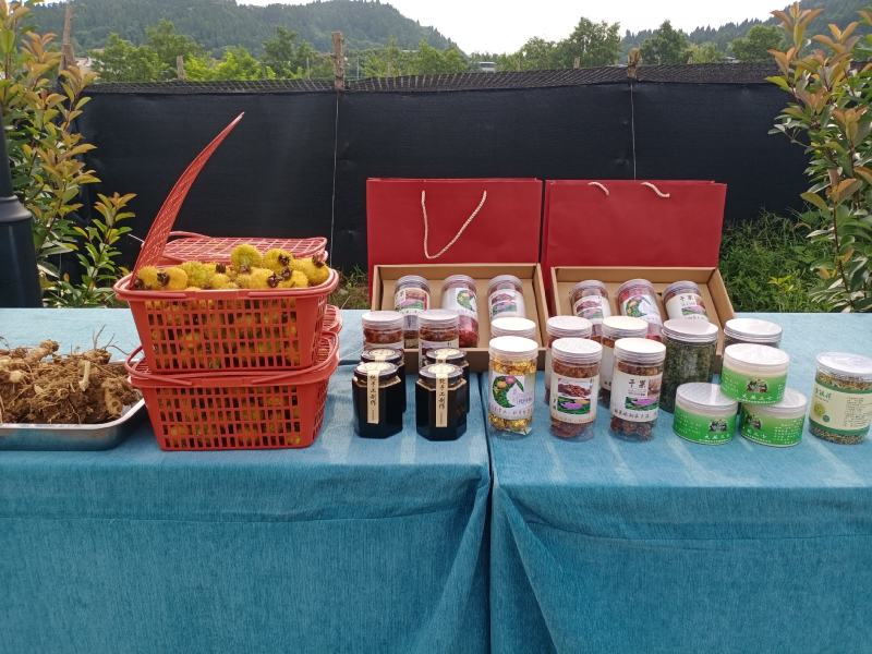 刺梨干果，刺梨果脯，刺梨果茶