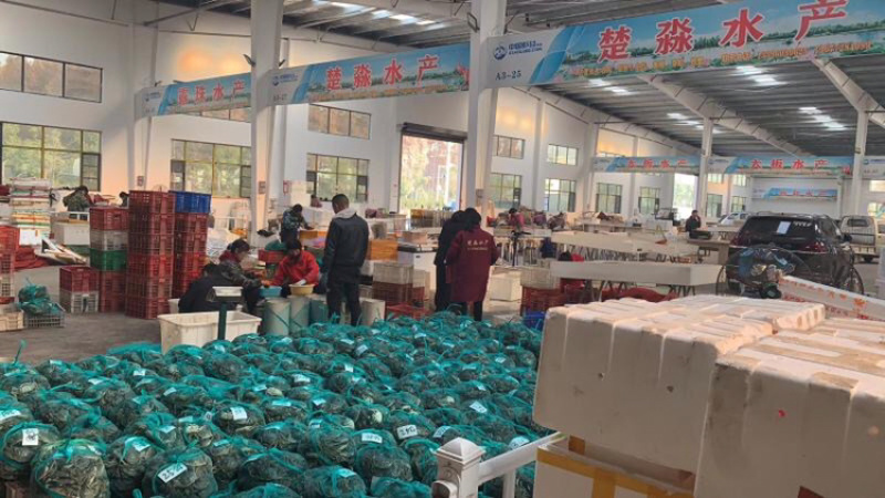 螃蟹六月黄湖北清水养殖螃蟹大闸蟹毛蟹母蟹公蟹批发