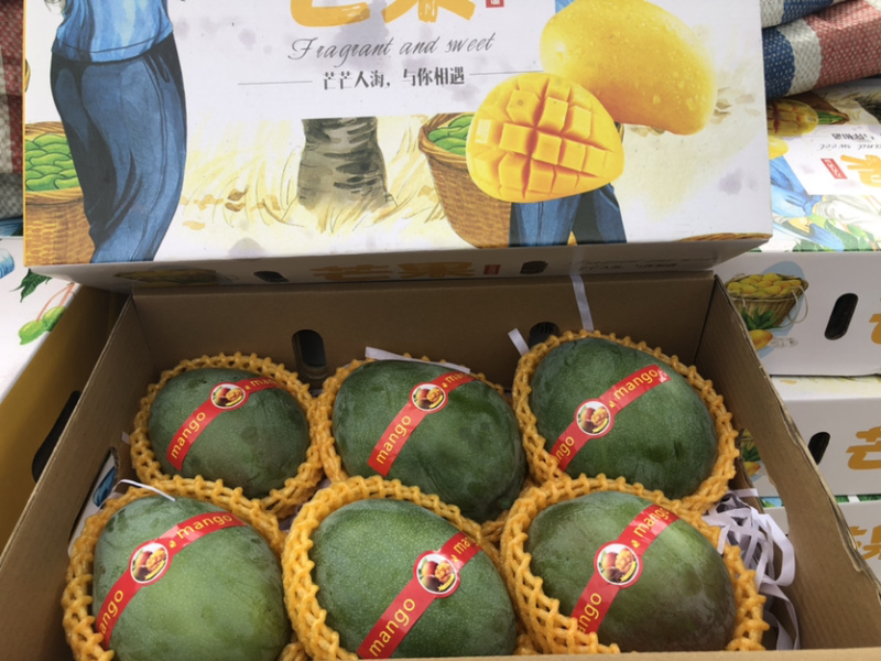 攀枝花特产阳光芒果凯特