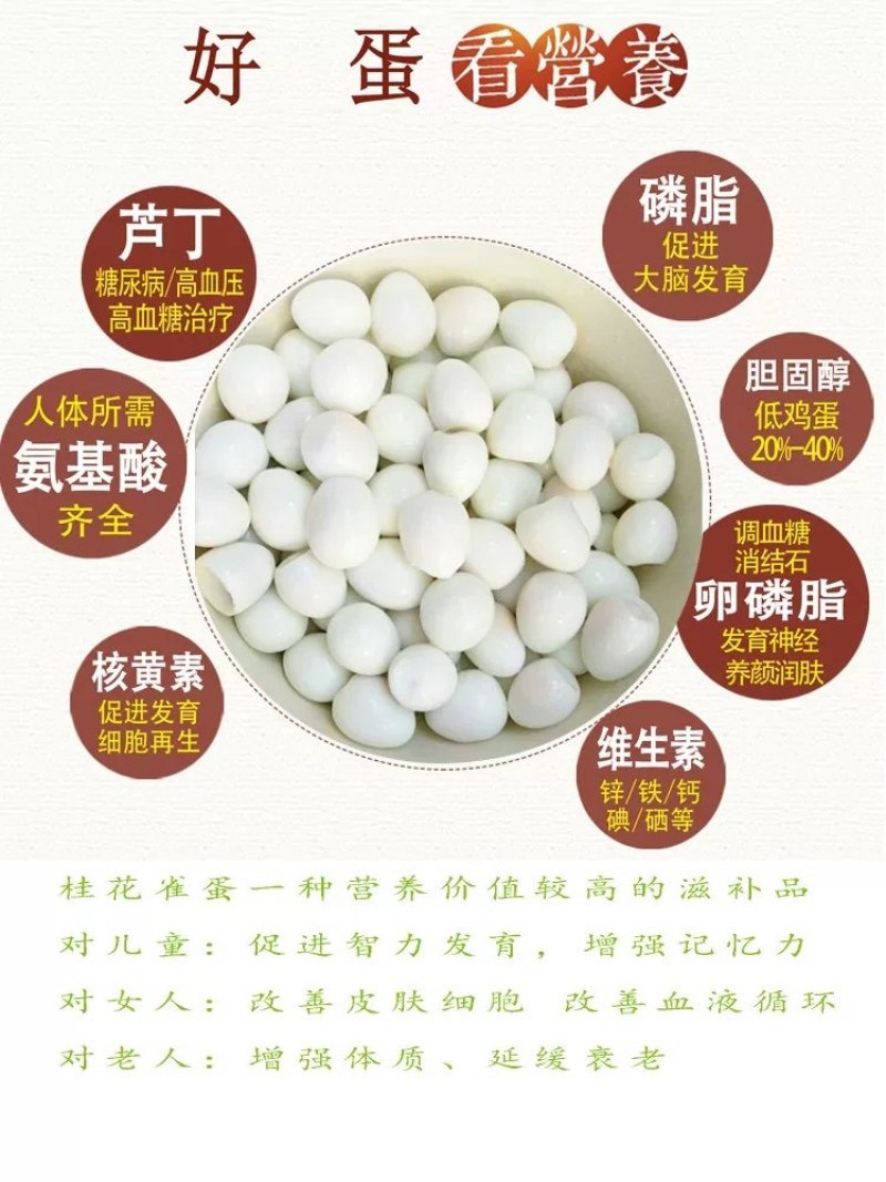芦丁鸡蛋，商品蛋，吃黑水虻虫的芦丁鸡蛋营养价值高。