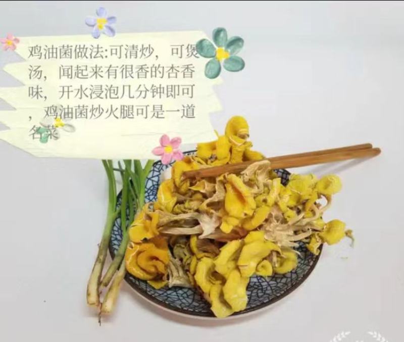 【推荐】榆黄蘑姬松茸鸡油菌一手货源原产地供货