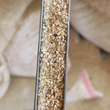 长年供应各种小麦，玉米杂质