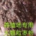 红枣粉现货直发大枣粉枣渣气味好养殖用成色好