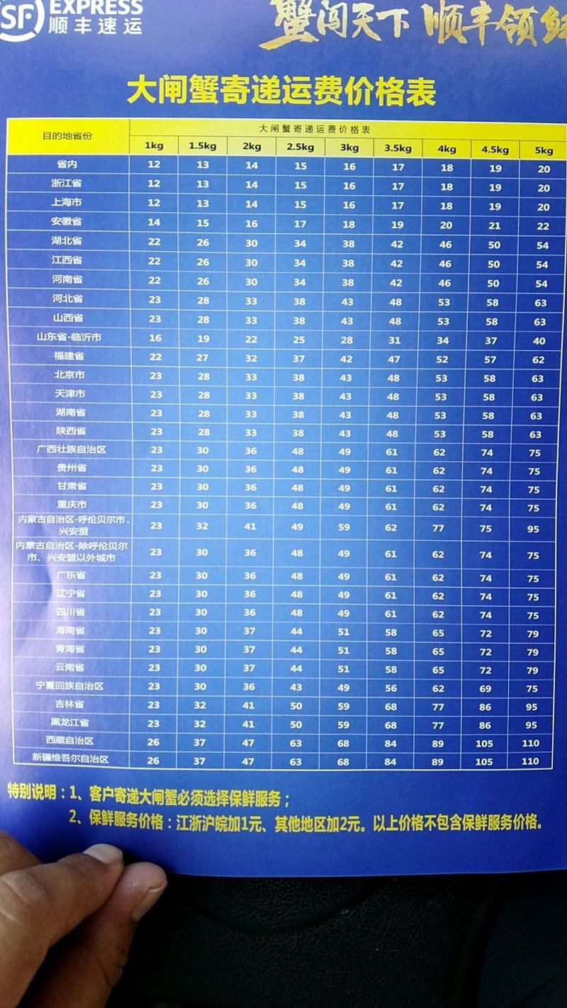 江苏大闸蟹全母零售批发招代理商保质保量肉质肥美