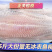 【正关】20斤装新鲜进口巴沙鱼柳，9成干解冻后【18斤】