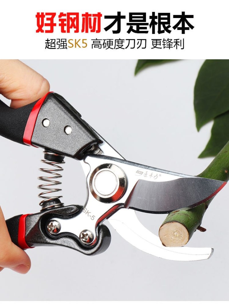 强力剪粗枝剪树枝修枝剪刀苹果树梨树桃子树果树专业园林园丁