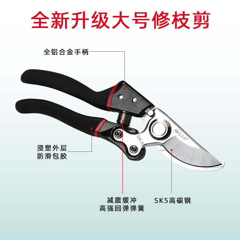 强力剪粗枝剪树枝修枝剪刀苹果树梨树桃子树果树专业园林园丁