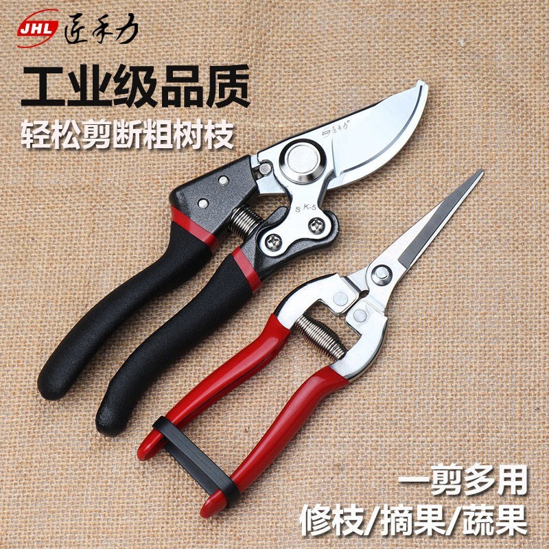 强力剪粗枝剪树枝修枝剪刀苹果树梨树桃子树果树专业园林园丁