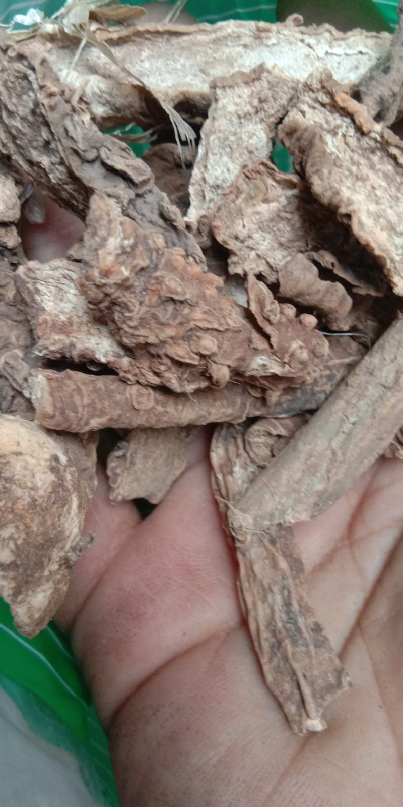 万年青虎眼万年青开口剑牛尾七万年青根无硫中药材